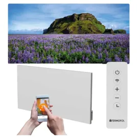 grzejnik-na-podczerwien-obraz-700w-120x60cm-wifi