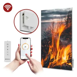 grzejnik-z-nadrukiem-podczerwien-500w-85x60cm-wifi