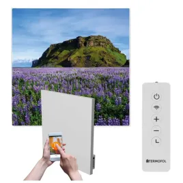 grzejnik-na-podczerwien-obraz-gory-laka-350w-60x60cm-wifi