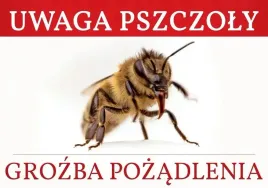 tablica-duza-ostrzegawcza-uwaga-pszczoly-grozba-pozadlenia-pszczola