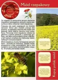 broszura-informacyjna-ulotka-miod-rzepakowy-ul-pasieka-20-szt