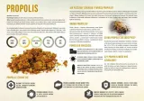 tablica-duza-edukacyjna-propolis