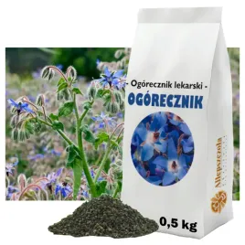 ogorecznik-lekarski-ziarno-roslina-miododajna-gatunek-i-05-kg