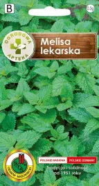 melisa-lekarska-roslina-wieloletnia-miododajna