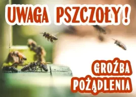 tablica-ostrzegawcza-uwaga-pszczoly-215-x-30-cm