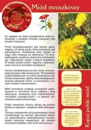 broszura-informacyjna-ulotka-miod-mniszkowy-ul-pasieka-20-szt