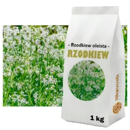 rzodkiew-oleista-przedplon-poplon-roslina-miododajna-ziarno-1-kg