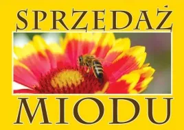 tablica-srednia-reklamowa-sprzedaz-miodu-xl