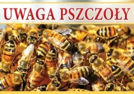 tablica-srednia-ostrzegawcza-uwaga-pszczoly-xl