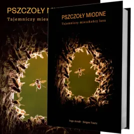 ksiazka-pszczoly-miodne-tajemniczy-mieszkancy-lasu-prezent