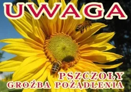 tablica-srednia-ostrzegawcza-uwaga-pszczoly-xl