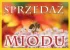 Kolor / wzór produktu #15