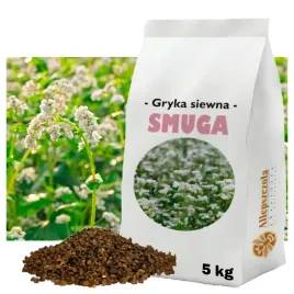 gryka-siewna-smuga-roslina-miododajna-gatunek-i-ziarno-5-kg