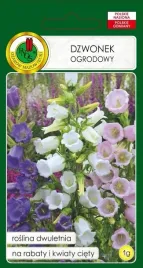 dzwonek-ogrodowy-roslina-miododajna