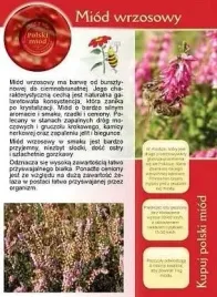broszura-informacyjna-ulotka-miod-wrzosowy-ul-pasieka-20-szt