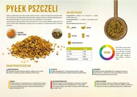 tablica-duza-edukacyjna-pylek-pszczeli