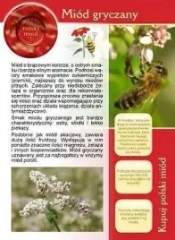 broszura-informacyjna-ulotka-miod-gryczany-ul-pasieka-20-szt