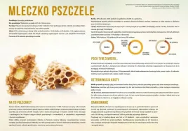 tablica-duza-edukacyjna-mleczko-pszczele