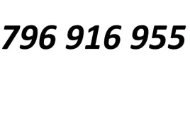 796-916-955-latwy-prosty-zloty-platynowy-playm