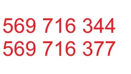 zlote-platynowe-numery-2-numery-pod-rzad-heyah-5zl