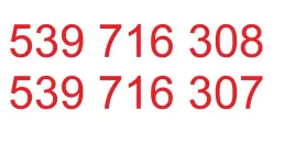 zlote-platynowe-numery-2-numery-pod-rzad-heyah-5zl