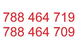 zlote-platynowe-numery-2-numery-heayah-5zl