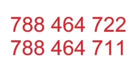 zlote-platynowe-numery-2-numery-heayah-5zl