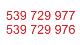 zlote-platynowe-numery-2-numery-pod-rzad-heyah-5zl