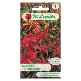 szarlat-trojbarwny-piekne-kolorowe-liscie-nasiona-legutko