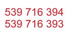 zlote-platynowe-numery-2-numery-pod-rzad-heyah-5zl