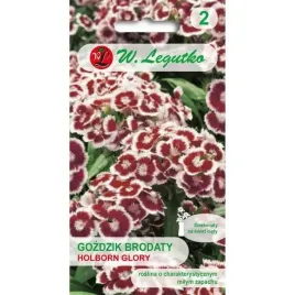 gozdzik-brodaty-holborn-glory-czerwony-05g-dlugo-kwitnie-nasiona-legutko