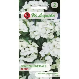 gozdzik-brodaty-albus-05-g-mieszanka-dlugo-kwitnie-nasiona-legutko