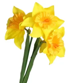zonkile-zonkil-sztuczne-kwiaty-galazka-roslina-3-glowki