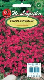 gozdzik-kropkowany-03g-rozowy-rozany-dlugo-kwitnie-nasiona-legutko