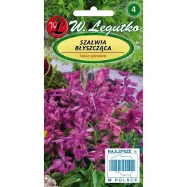 szalwia-blyszczaca-fioletowa-nasiona-03g-dlugo-kwitnie-nasiona-legutko