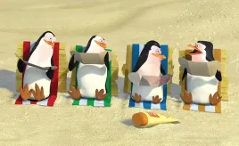 fototapeta-pingwiny-z-madagaskaru-02-szer-416-x-wys-254