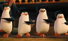 fototapeta-pingwiny-z-madagaskaru-04-szer-416-x-wys-254