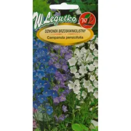 dzwonek-brzoskwiniolistny-bylina-dlugo-kwitnie-nasiona-legutko