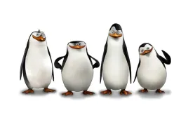 fototapeta-pingwiny-z-madagaskaru-01-szer-416-x-wys-254