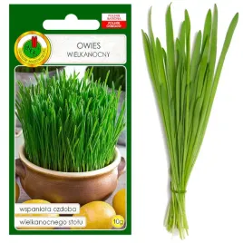 owies-wielkanocny-nasiona-kielki-na-swiata-bez-gmo