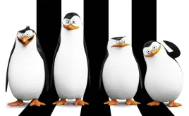 fototapeta-pingwiny-z-madagaskaru-03-szer-416-x-wys-254