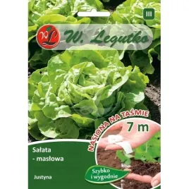 salata-maslowa-justyna-tasma-7m-duza-300-400g-nasiona-legutko