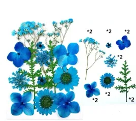 naturalne-suszone-kwiaty-do-zywicy-epoksydowej-k6-bizuteria-formy-diy