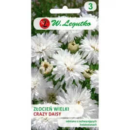 zlocien-wlasciwy-crazy-daisy-bialy-sniezna-02g-nasiona-legutko