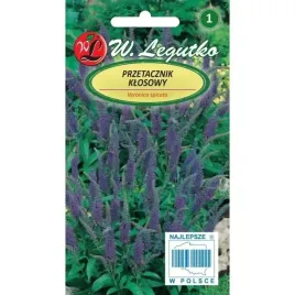 przetacznik-klosowy-nasiona-niebieski-wabi-owady-nasiona-legutko