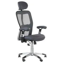 fotel-biurowy-ergonomiczny-corpocomfort-bx-4147-szary