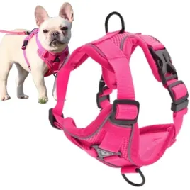 szelki-bezuciskowe-dla-psa-easy-walk-tiny-xl-roz