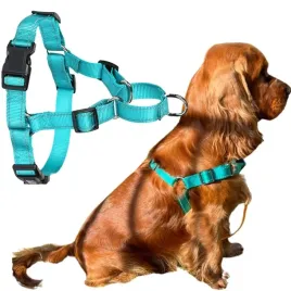 szelki-dla-duzego-psa-easy-walk-odblask-xl-tur
