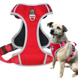 Zdjęcie produktu SZELKI dla psa GUARD bezuciskowe TOKYO red XL