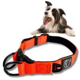obroza-dla-duzego-psa-orange-rico-60cm-mocna-xl